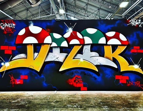 Gallery Of Street Art By Vincent Veyret - Peru