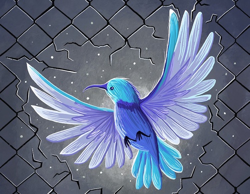 Gallery of illustration by Hazem Asif - Pakistan