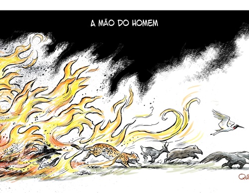 quinho brazil