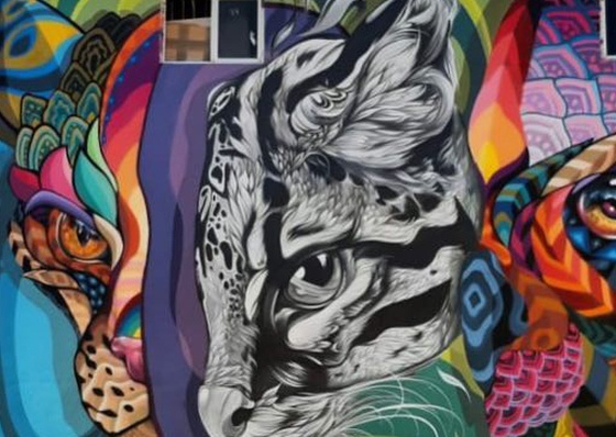 Gallery Of Street Art By Fio Silva - Argentina
