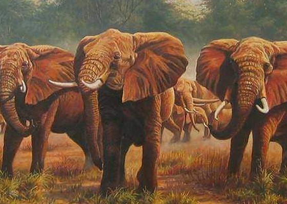 Gallery Of Painting By Tulio Dias - Brazil