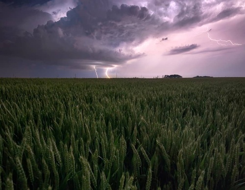 Galería de fotografía de Gijs de Reijke - Holanda