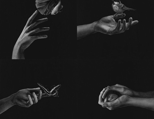 Gallery Of Realistic Painting By Emma Towers Evans - Brazil