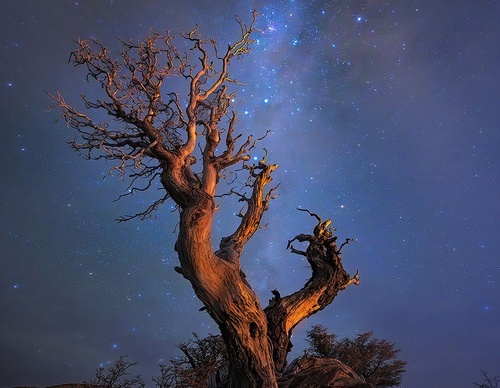 Galería de fotografía de Greg Boratyn - Argentina