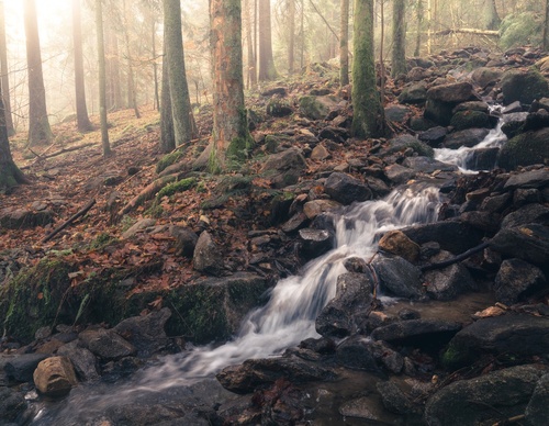 Galería de fotografías de Pujan Shadlau - Austria