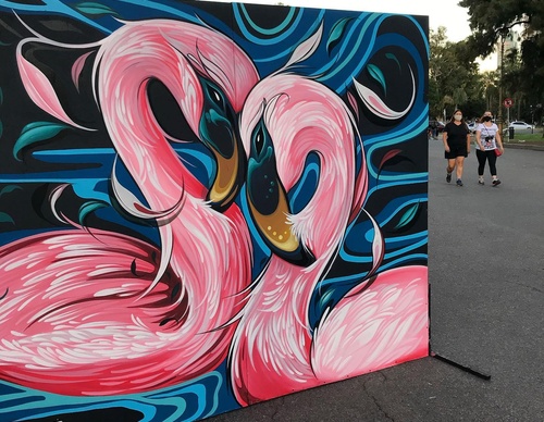 Gallery Of Street Art By Fio Silva - Argentina