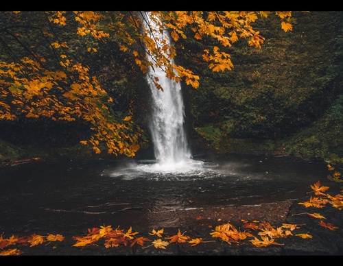 Galería de fotografías de Jared - Canadá