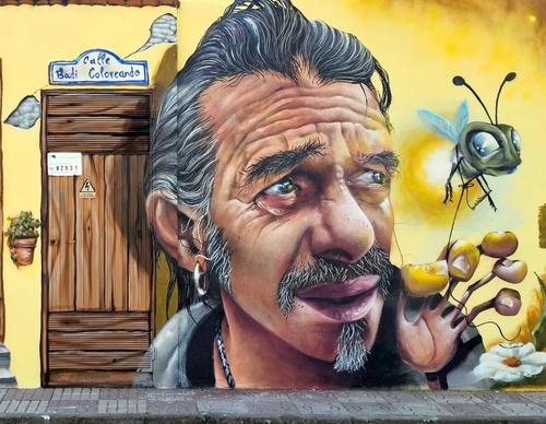 Galería de arte callejero de Nauni - España