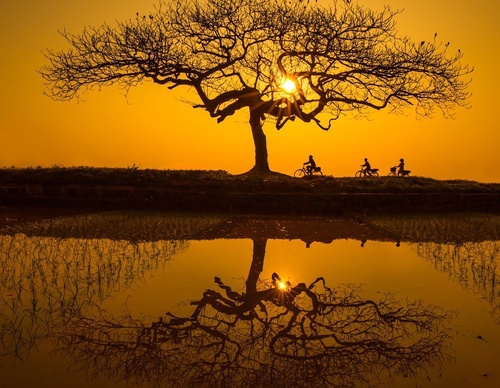 Galería de Fotografía de Tran Tuan Viet - Vietnam
