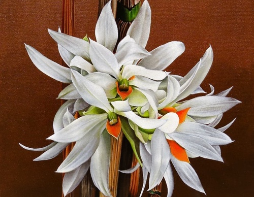 Gallery Of Visual Art By Carlo Batistella - Brazil