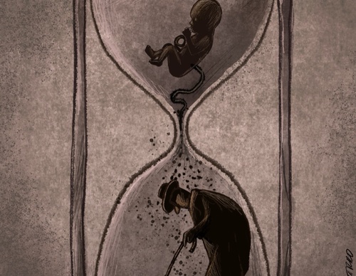 Gallery of Cartoons by Marcelo Chamorro from Ecuador