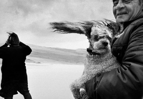 Gallery of Photography by Jean Gaumy – France