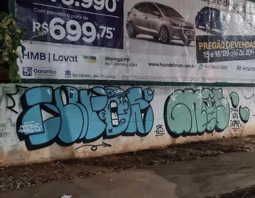 Gallery Of Street Art By GardPam - Brazil