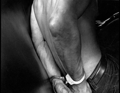 leonard freed