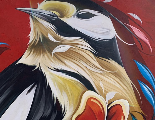 Gallery Of Street Art By Fio Silva - Argentina