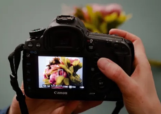 O que é foco na fotografia?