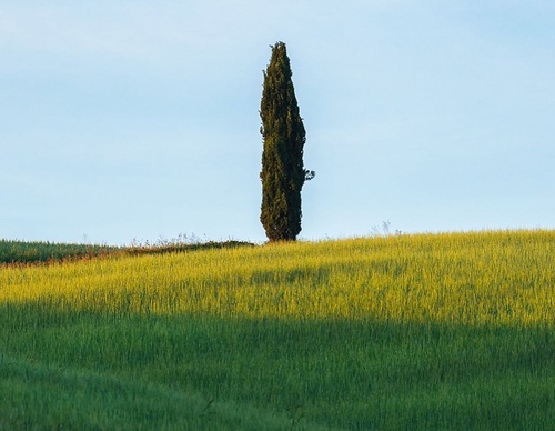 Gallery Of Photography By Marco Grassi - Argentina