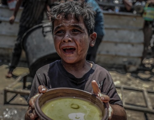 ali jadallah gaza