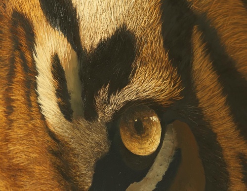 Galería de pintura realista de Annie Drew - Reino Unido