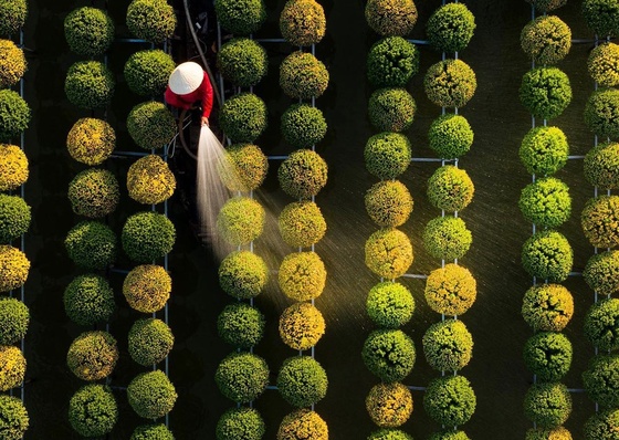 Gallery of Photography by Tran Tuan Viet - Vietnam