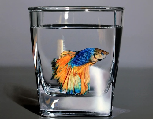 Gallery Of Realistic Painting By Young-sung Kim - South Korea