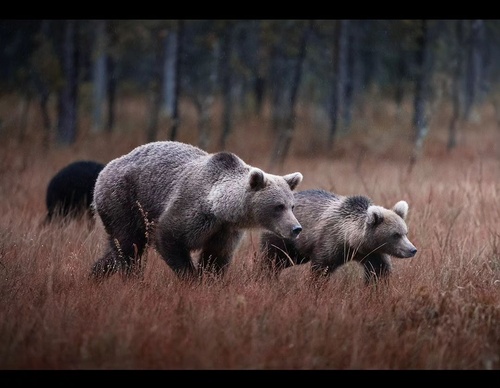 Gallery Of Photography By Elias Kalliola - USA