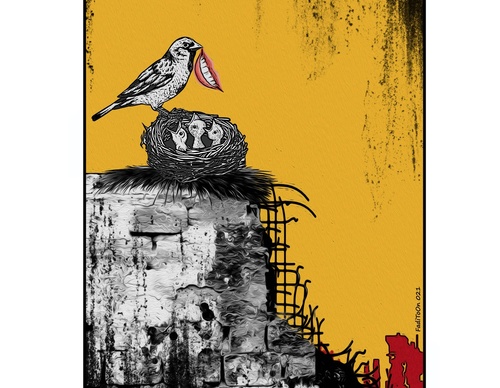 fadi abou hassan palestine