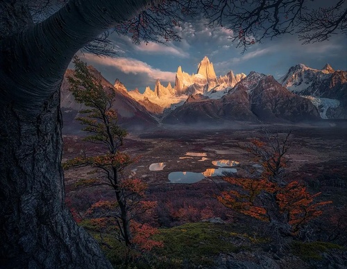 Gallery Of Photography By Max Rive - Netherlands