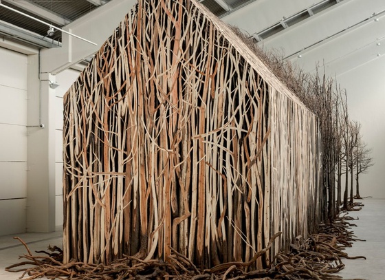 Doris Salcedo