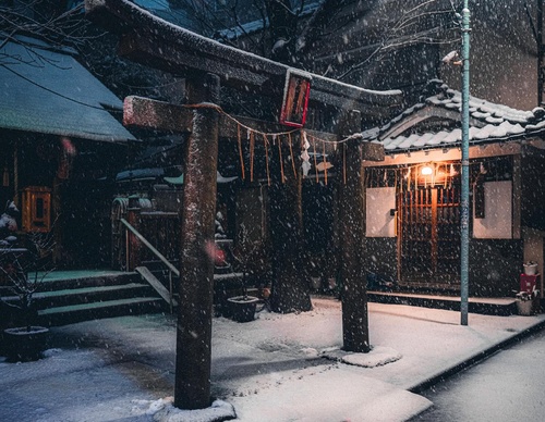 Gallery Of Photography By Junya Watanabe - Japan