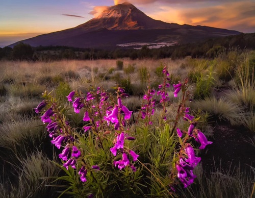 Galeria de Fotografia de Andres Valle - México
