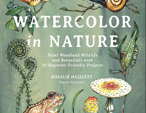 Watercolor in Nature: Paint Woodland Wildlife and Botanicals with 20 Beginner-Friendly Projects by Rosalie Haizlett
