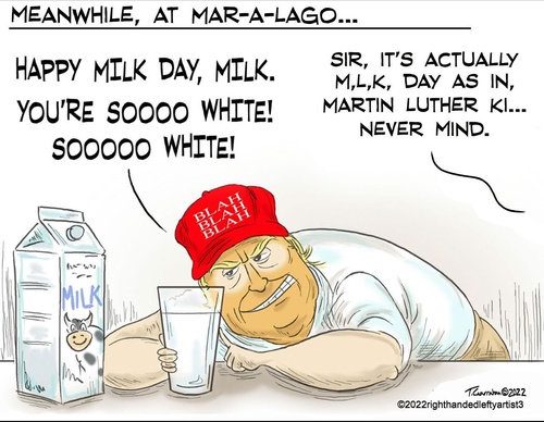 righthandedlefty