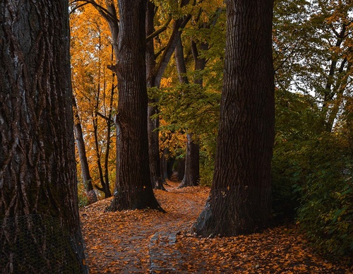 Gallery Of Photography By Tom Jünemann - Germany