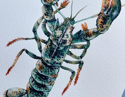 Gallery Of Painting By Rita Gould - United Kingdom
