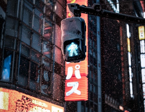 Gallery Of Photography By Junya Watanabe - Japan