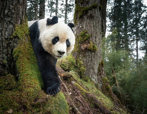 world press photo