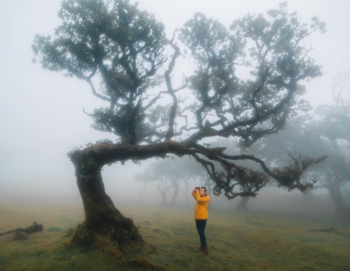 Galeria de fotografias de Long-Nong Huang - Alemanha