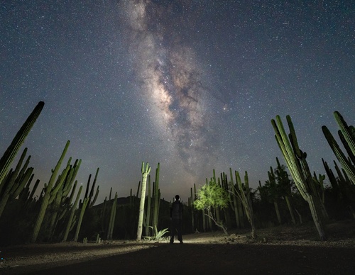 Galeria de Fotografia de Joseph Ruiz Cheires - México