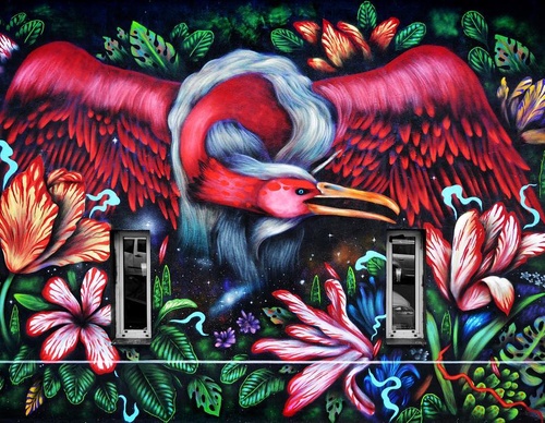 Gallery Of Street Art By Bailon - Brazil