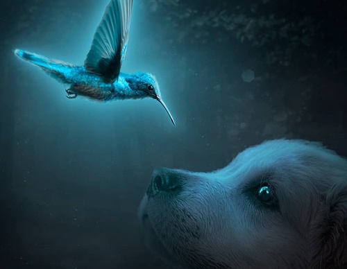 Galería De Ilustración De Gastón - Argentina