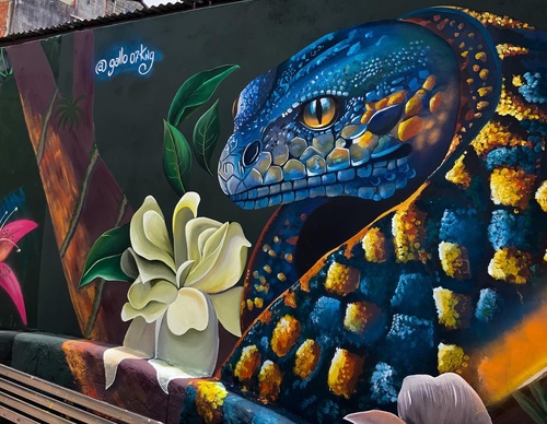 Gallery Of Street Art By Javier Rodriguez - Ecuador