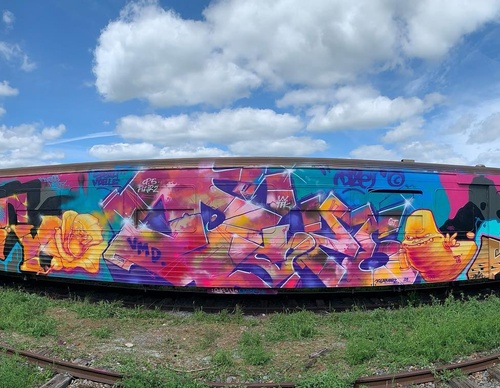 Gallery Of Street Art By Vincent Veyret - Peru