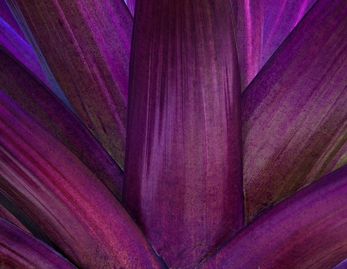 costa rica jim zuckerman