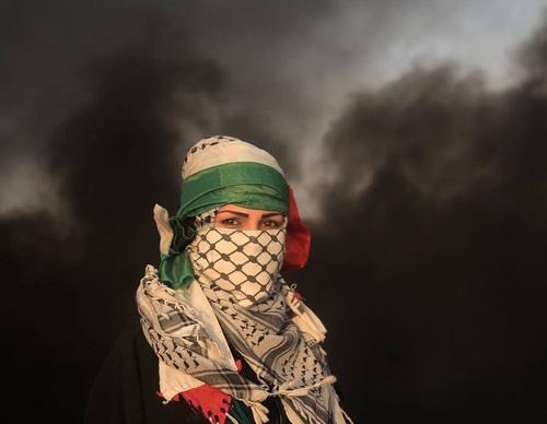 Galería de fotografías de Mohammed Zaanoun - Palestina