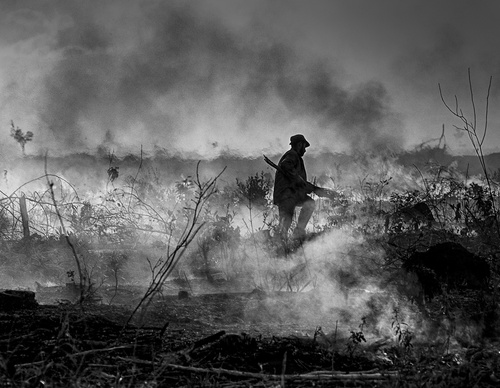 Galería de fotografía de Araquém Alcântara - Brasil