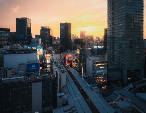 Gallery Of Photography By Junya Watanabe - Japan