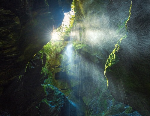 Galeria de fotografias de William Patino - Nova Zelândia