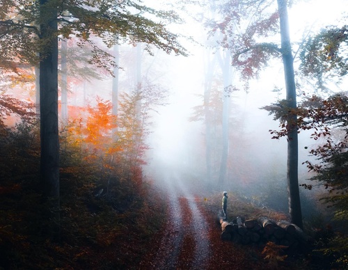 Galería de fotografías de Jan Pallmer - Alemania