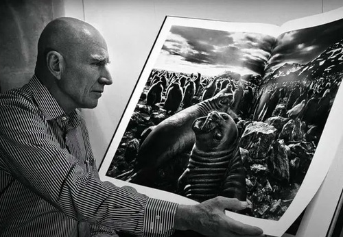 Fotografía Documental: La Mirada Testigo